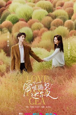 seo刷排名哪里实惠